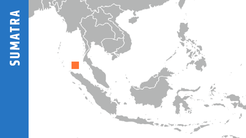 Pgs To Map North Sumatra In 3d Multiclient Survey 